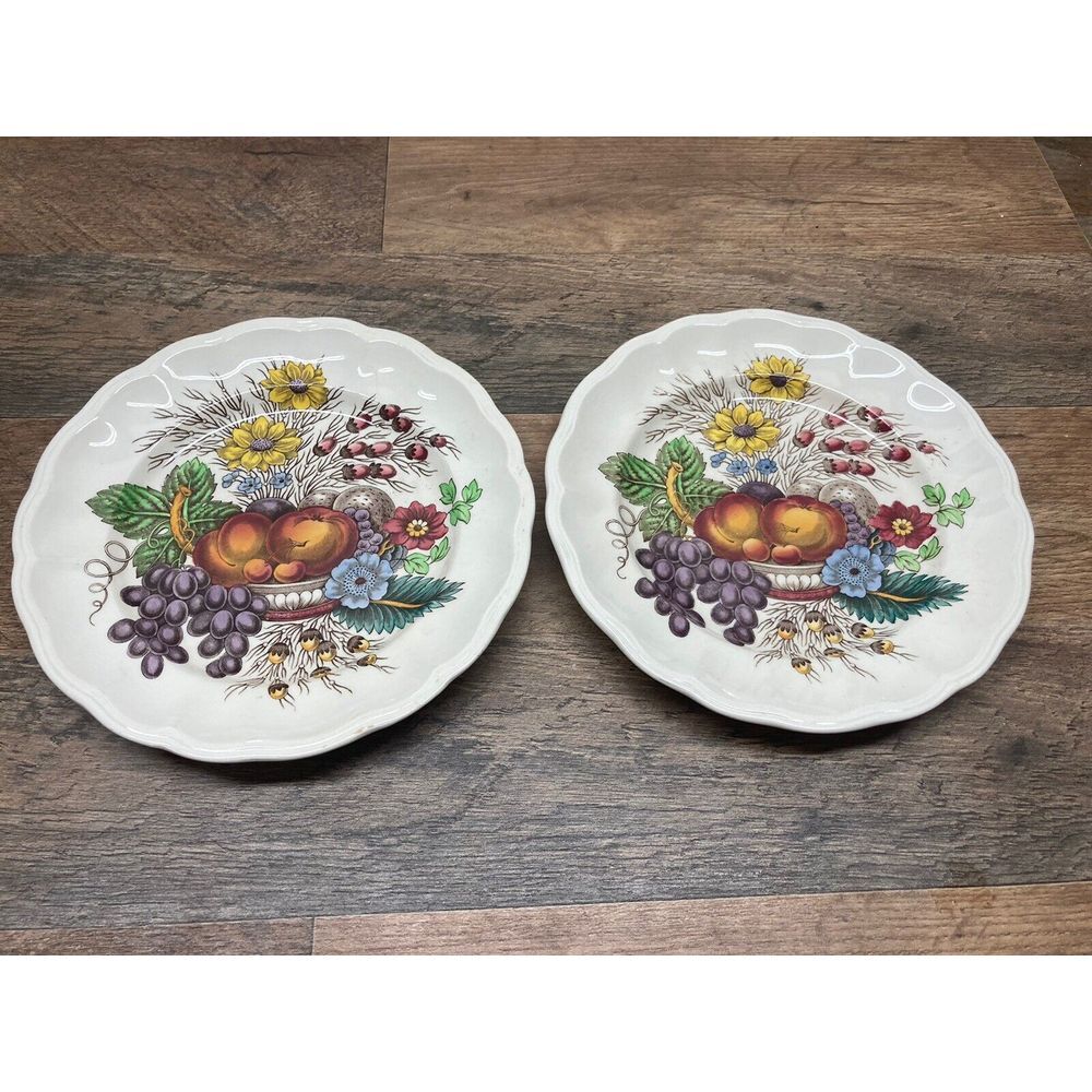 Set Of 2 Hampshire Royal Doulton Vintage Plates Flowers Fruit Bird 7.5"